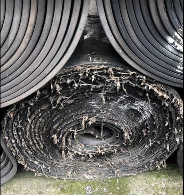 45,829.6' L Of Used Fenner Dunlop Conveyor Belting, 1200mm W X 13911m L (47" W X 45,829.6' L))